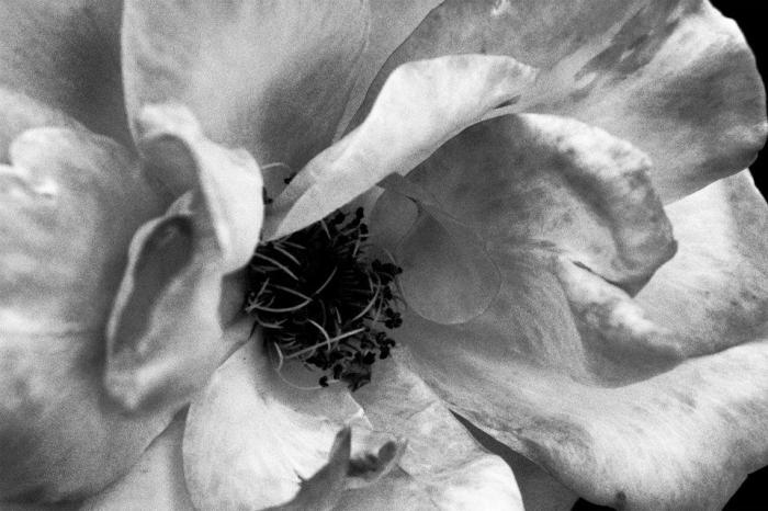 552972_324346430978673_648594074_n